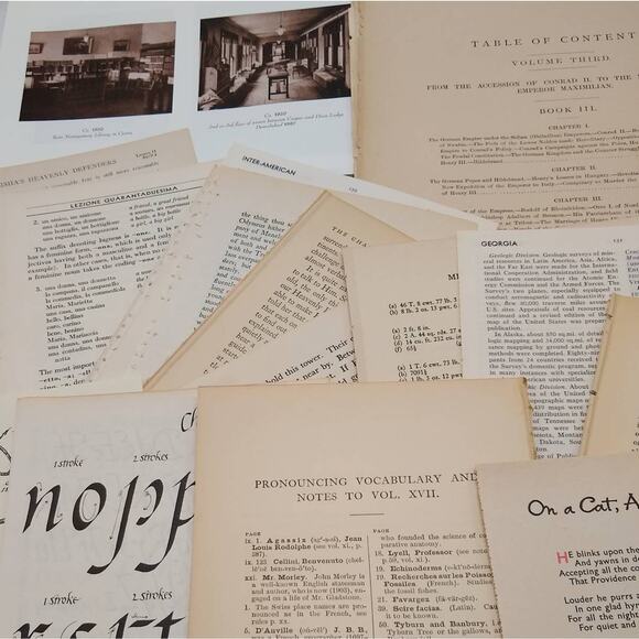 Very Vintage Book Pages, Old Book Page Bundle, Assorted Book Pages - Picture 5 of 10